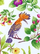 Bel Amour Tropical P Kaufmann Fabric